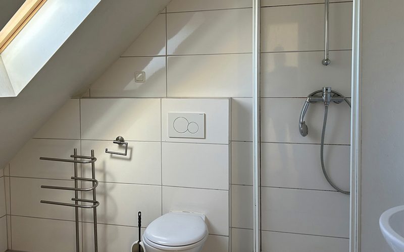 Altbauvilla in Mainz