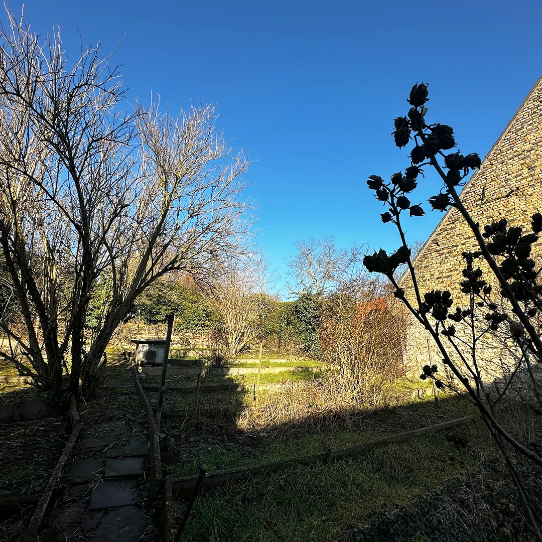 Einfamilienhaus Essenheim Hauptstraße Hinterhof Grünfläche mit Rasen, Sträuchern, Bäumen ohne Laub, schmalem Weg, umliegenden Steinmauern und klarem Himmel bei gleichmäßiger Tageslichtbeleuchtung.