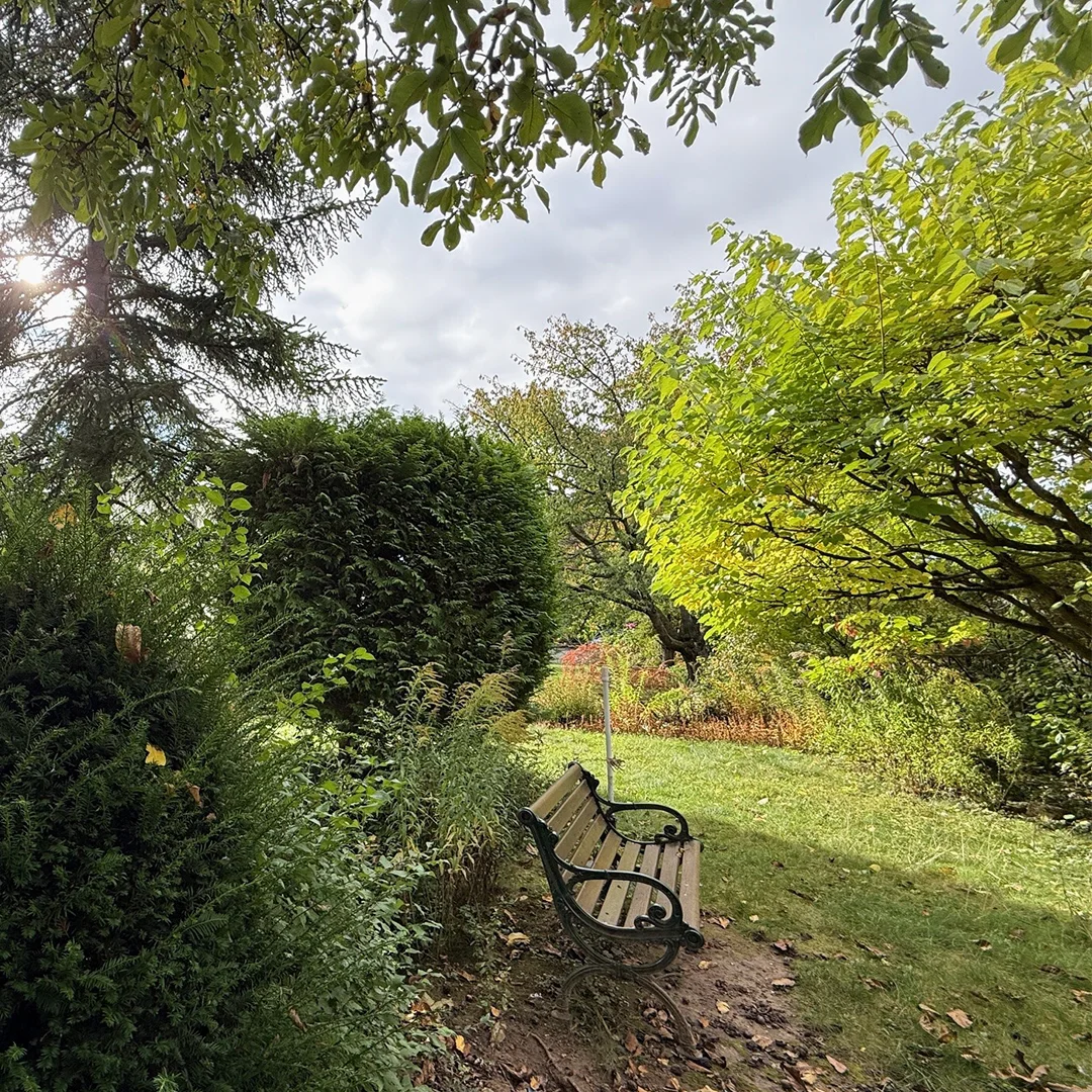 Parkbank am Rand eines gepflegten Gartens mit Büschen und Bäumen unter bewölktem Himmel.