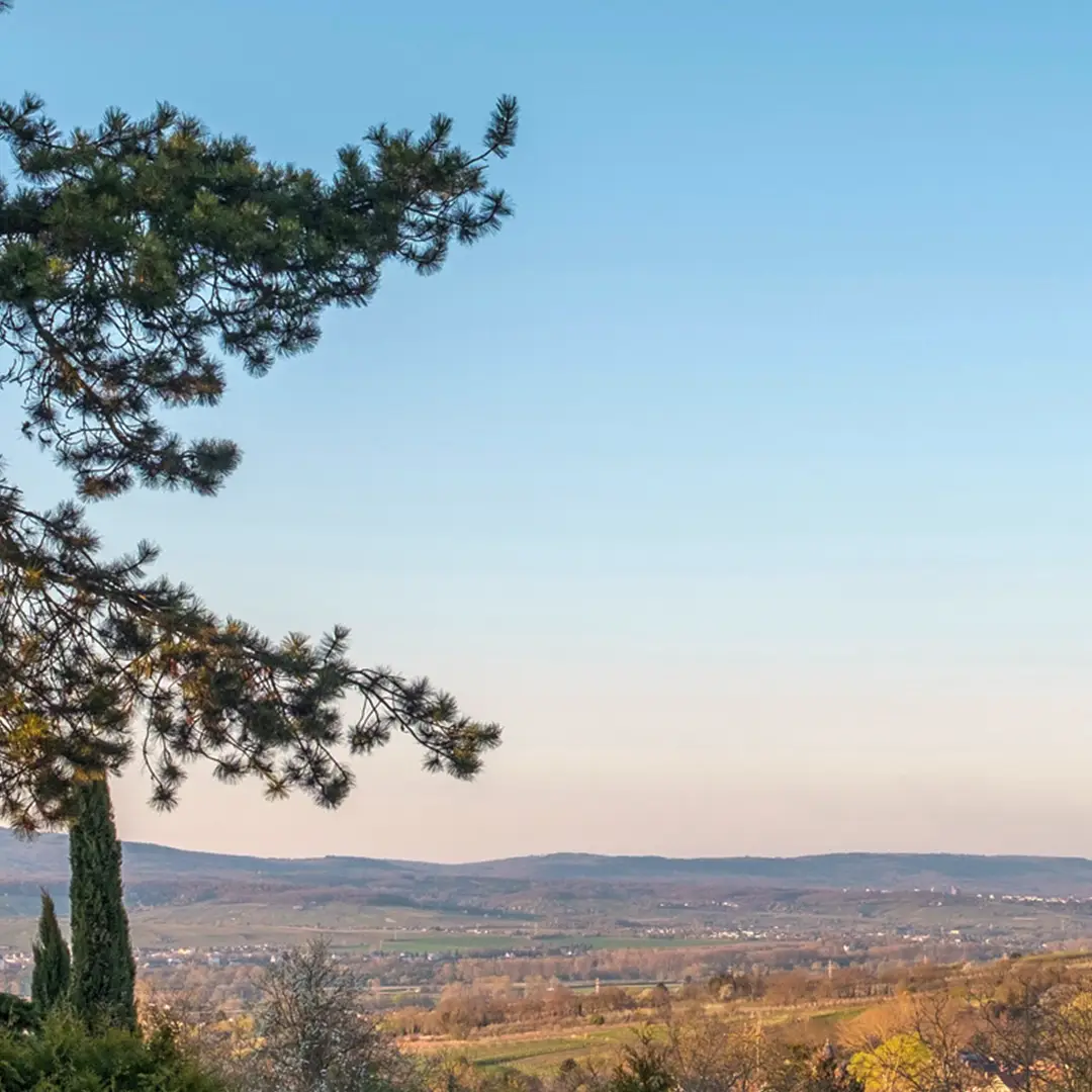Weitblick über die umliegende Landschaft von Wackernheim aus einem Einfamilienhaus