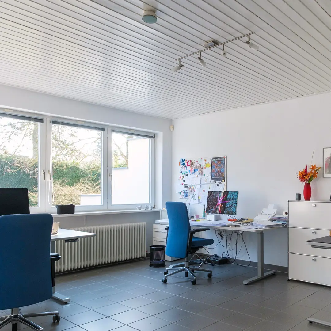 Helles Büro in einem Einfamilienhaus in Wackernheim mit Schreibtisch, Stuhl und großem Fenster