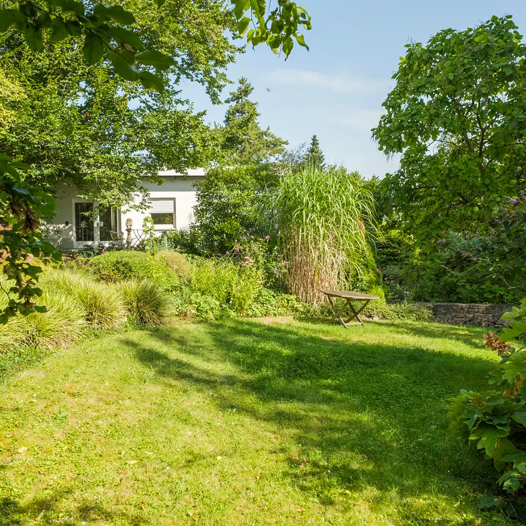 Gepflegter Garten eines Einfamilienhauses in Wackernheim mit großer Rasenfläche, üppiger Bepflanzung und Sitzbereich